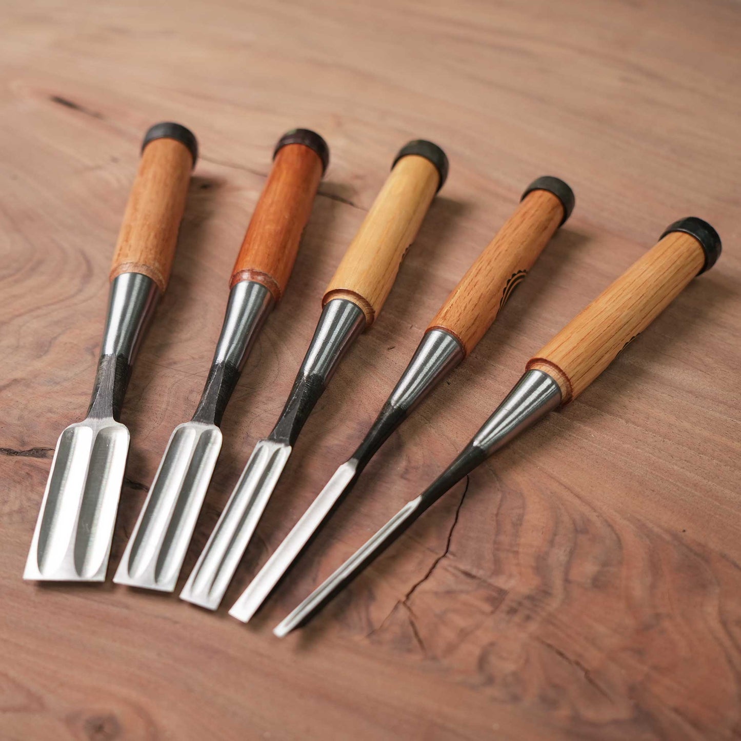Japanese Bench Chisels Box Set (1", ¾", ½", ¼", ⅛")