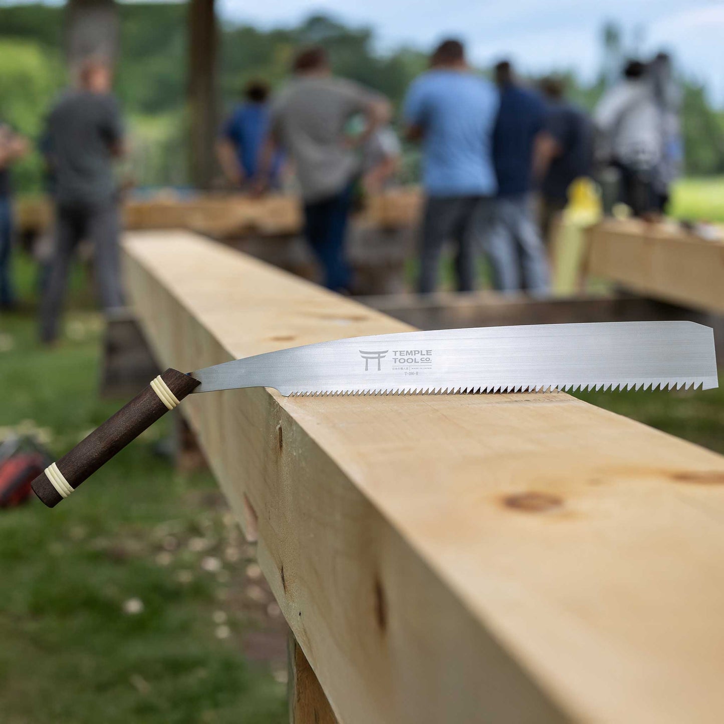 Timber Framing 2-Saw Combo